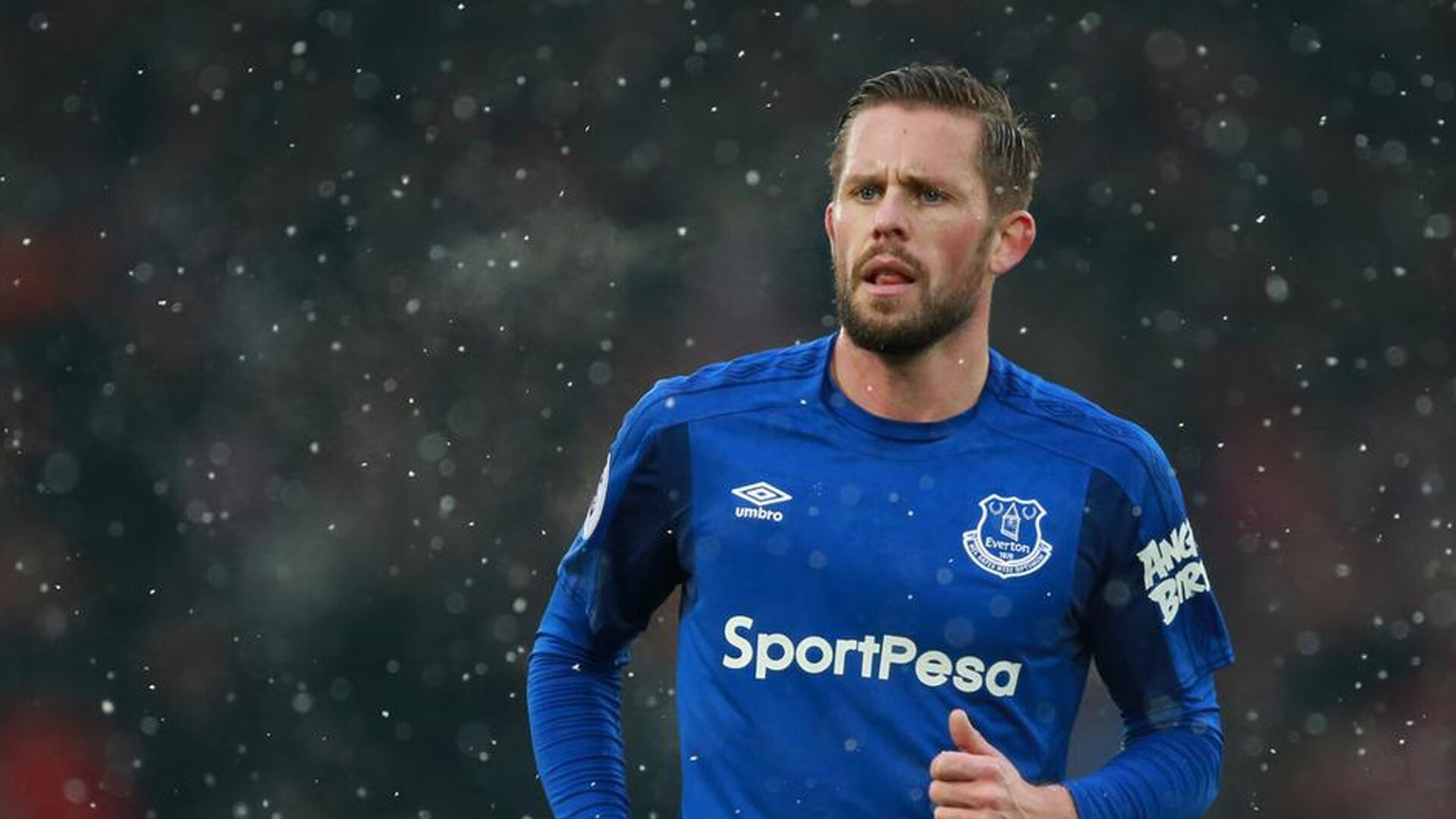 防线编织者，勇士封锁浙江，霍勒迪稳如磐石不掉线