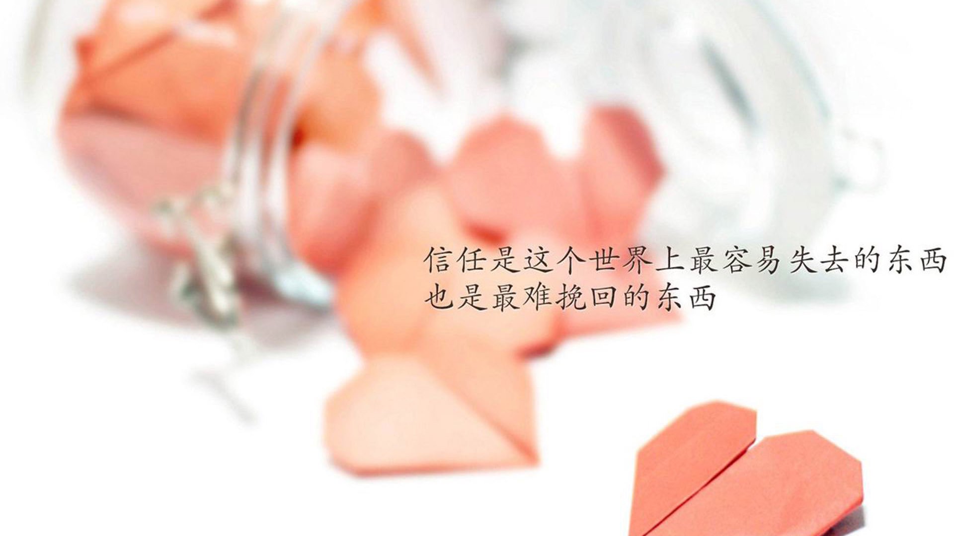 冰封猛龙，霍勒迪的火爆时刻与辽宁队的铁血封锁