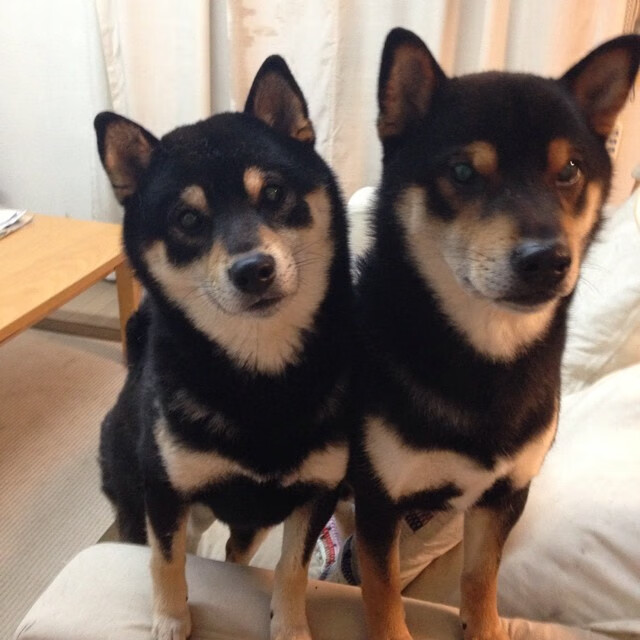 火箭稳健升空，利拉德用无法解决的难题为现代篮球写下注脚